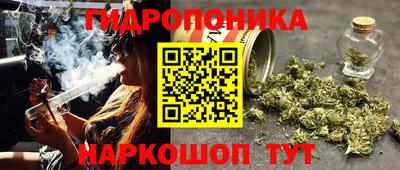 spice Пугачёв