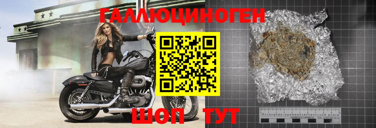 Галлюциногенные грибы Psilocybe Ахтубинск