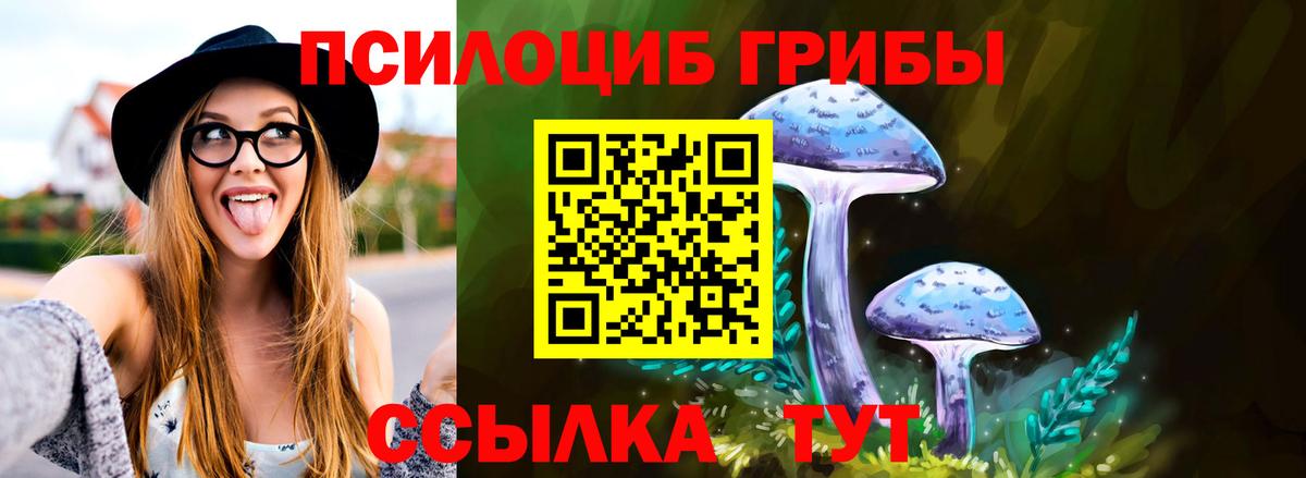 продажа наркотиков  Галлюциногенные грибы Psilocybine cubensis  Галлюциногенные грибы Psilocybe  Вход с VPN  Ахтубинск 